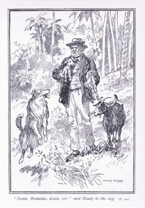 Down Romulus, Down Sir, Said Ready to the Dog by Archibald Webb