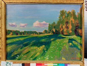 Summer Study