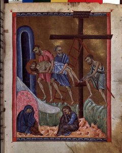 The Deposition