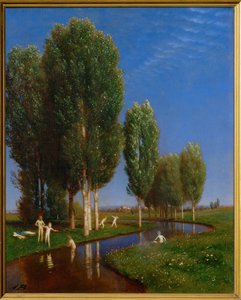 A Summer Day