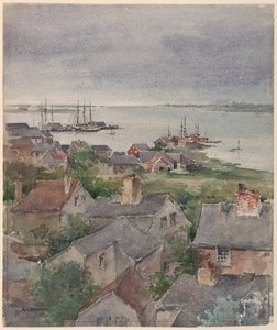 Houses by the Shore in Nantucket