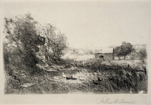 Duck Pond