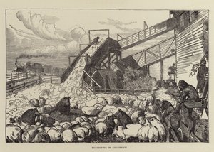 Pig-Driving in Cincinnati by Arthur Boyd Houghton