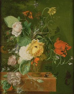 Still Life