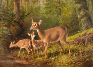 A Doe and Two Fawns