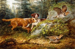 Flushed: Ruffed Grouse Shooting