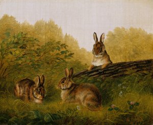 Rabbits on a Log