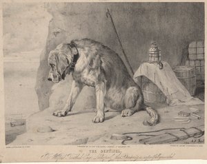The Sentinel