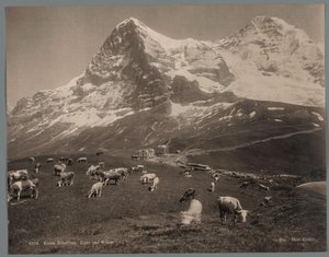 Cows on the Kleine Scheidegg in the Bernese Oberland, with the Eiger and the Mönch in the Background by Arthur Gabler