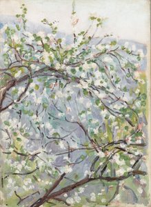 Blossom by Arthur Haythorne Studd