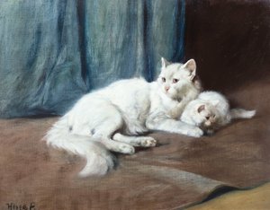 A White Persian Cat with her Kittens