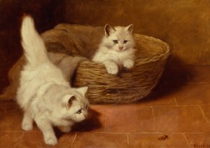 The Intruder