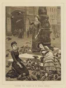 Feeding the Pigeons of St Mark
