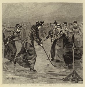 Hockey on the Ice, a Ladies
