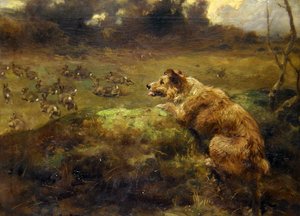 Rabbit Hunter