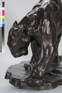 Large Puma Smelling Ox Track by Arthur Putnam