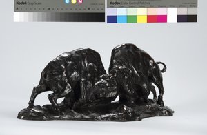Two Fighting Buffalo by Arthur Putnam