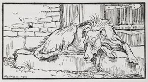 Illustration from Old Sultan of a dog by Arthur Rackham