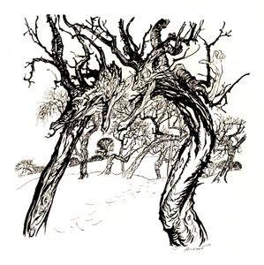 Whispering Trees, From A Dish of Apples, 1917 by Arthur Rackham