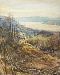 Coniston from Near Tarn Hows by Arthur Reginald Smith