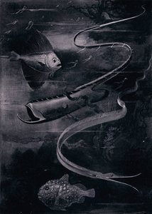 Deep-Sea Fish by Arthur Twidle