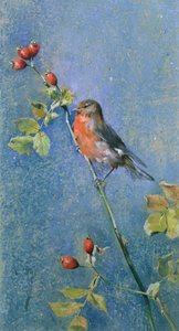 Robin on a Branch