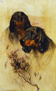 Two Gordon Setters