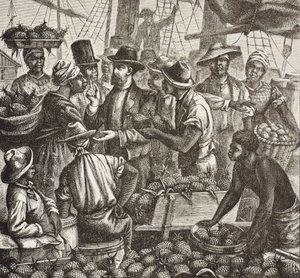 History of England (C19th). Colonization (1880). Bahama selling pineapples. English colony in New Providence Island. Pineapples were one of the products for export from the port of Nassau, most important. Engraving. Private Collection by Artist Unknown