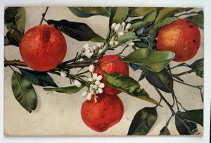 Oranges