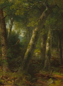 Forest in the Morning Light by Asher Brown Durand