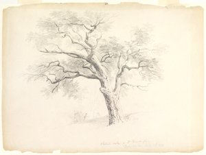 The Chestnut Oak on the Hosack Estate, Hyde Park, New York with Five Figures and an Artist Sketching, 1838 by Asher Brown Durand