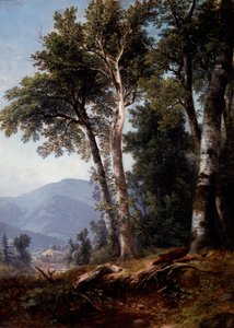 Woodland Landscape