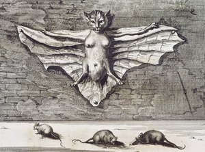 Cattus volans