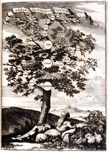 Genealogical Tree of Noah after Athanasius Kircher, Turris Babel, Roma 1675 by Athanasius Kircher