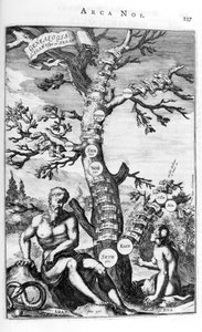 Genealogy Tree of Adam, 1675 by Athanasius Kircher