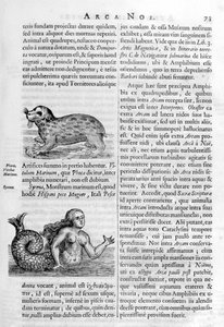 Mythical Creatures by Athanasius Kircher