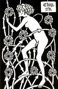 Hermaphrodite Amongst the Roses from Le Morte d