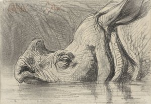 Head of a Rhinoceros, Half Submerged in the Water by August Allebe