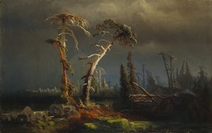 Gathering Storm - Dying Primeval Forest in Storm