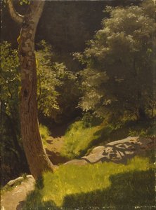 Park landscape with garden path