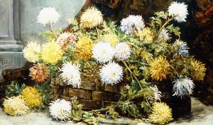 Chrysanthemums in a Basket