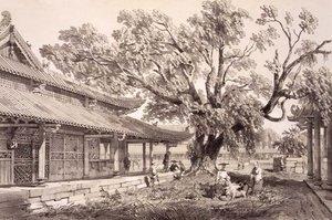 The Temple of Buddha in the Honan Suburbs of Canton, plate 24 from 