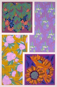 Plate 11, from 