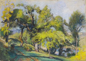 Chestnut Trees above a River by Auguste Lepere