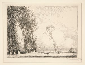 Curtain of Poplars (Vendee)