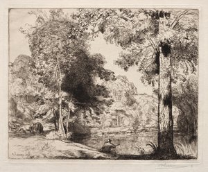 Banks of the Vie