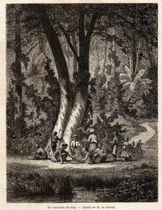 The picking of Syri, or betel by Auguste de Molins
