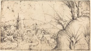 Landscape with a Town at Left by Augustin Hirschvogel