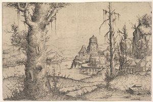 River Landscape with Large Tree by Augustin Hirschvogel
