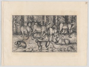 Stags in the Forest, 1545